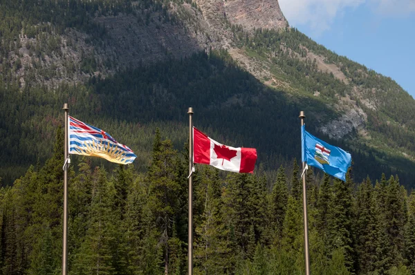 Kanada, alberta ve british columbia bayrakları — Stok fotoğraf