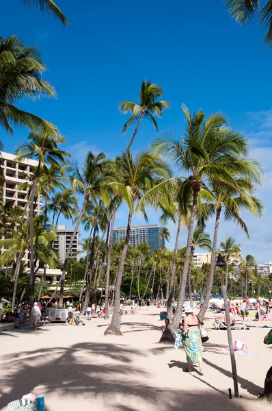 Waikiki Beach — Stok fotoğraf