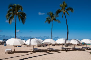 Waikiki Beach