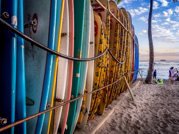 Tábuas de surf ao pôr do sol — Fotografia de Stock