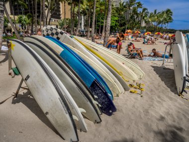 Surfboard Kiralama, waikiki