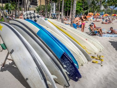 Surfboard Kiralama, waikiki