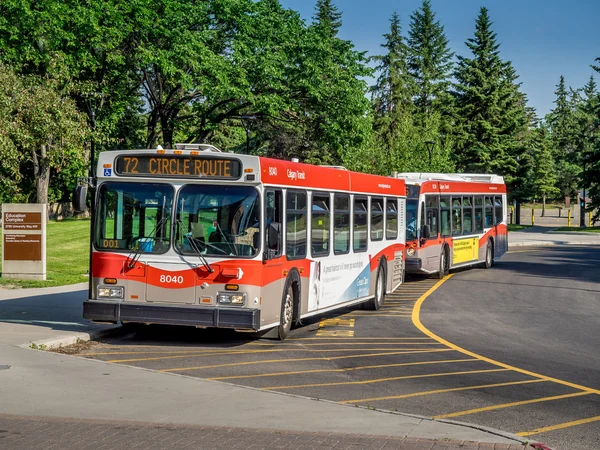 Calgary transit buses — Stock Photo, Image
