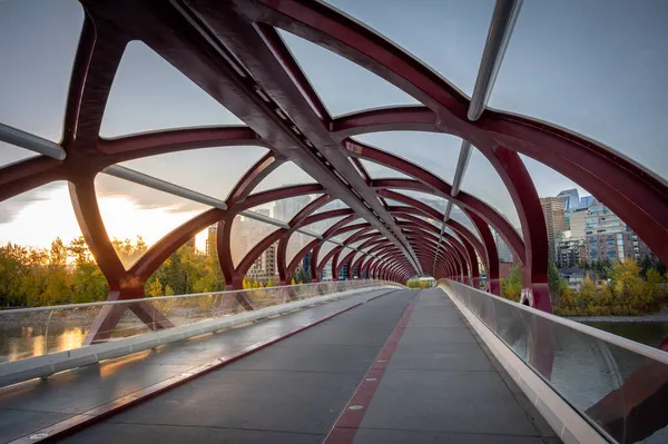 Pedestrian Bridge Early Morning Calgary — Stock Photo, Image