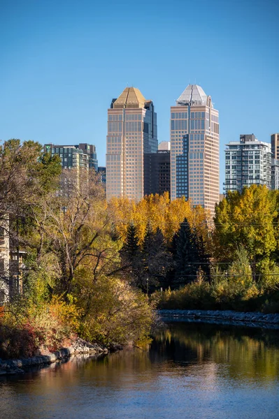 Skyline Calgary Long Rivière Elbow Automne — Photo