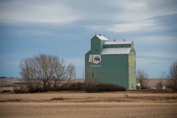 Herronton Alberta Noviembre 2021 Herronton Old Alberta Wheat Pool Grain —  Fotos de Stock