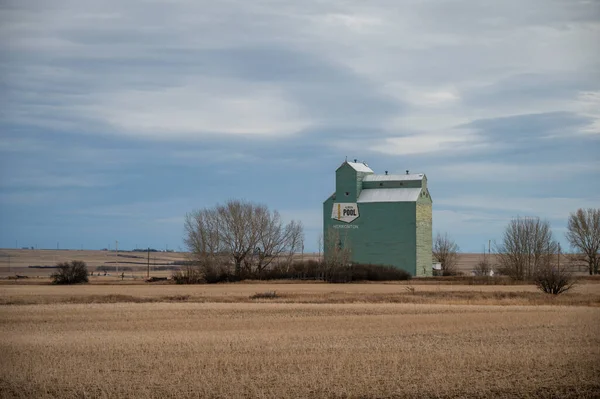 Herronton Alberta November 2021 Herronton Oude Alberta Tarwezwembad Graanlift — Stockfoto