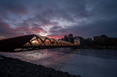 Calgary, Alberta 'daki Bow River' ın ufuk çizgisi manzarası. Barış Köprüsü görünür.