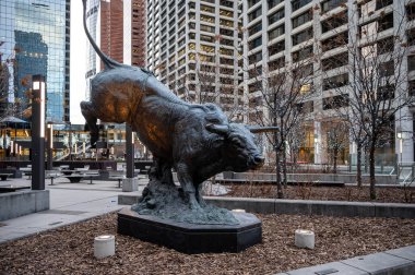 Calgary, Alberta - 30 Ocak 2022: Kışın Calgary kentindeki ofis kulelerinin dışındaki ünlü rodeo boğası.