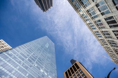 Calgary şehrindeki gökdelenlere bakıyorum..