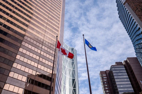 看着卡尔加里市的摩天大楼 上面挂着艾伯塔省和加拿大国旗 — 图库照片