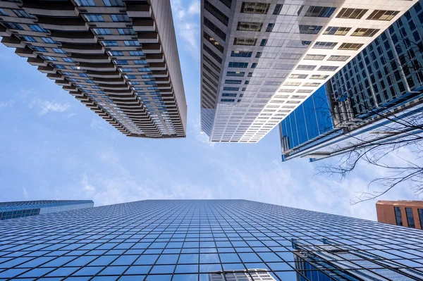 Calgary şehrindeki gökdelenlere bakıyorum..