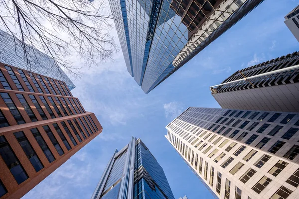 Olhando Para Arranha Céus Cidade Calgary — Fotografia de Stock