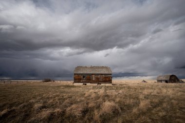 Baharın başlarında Alberta 'da terk edilmiş çiftlik binaları..