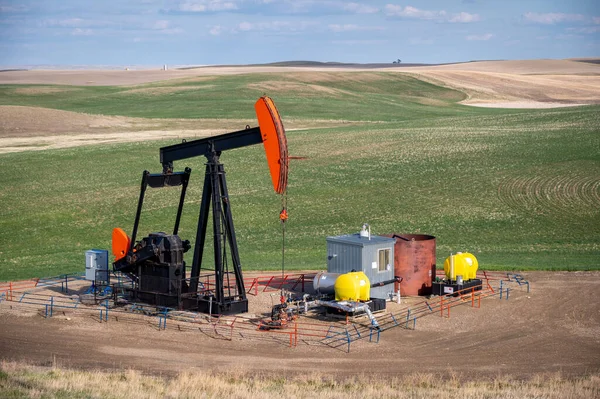 Pumpjacks Trabajando Los Campos Petrolíferos Alberta Día Primavera — Foto de Stock