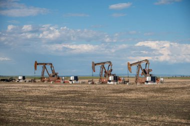 Dalum, Alberta - June 12, 2022: Pumpjacks working in the oil fields of Alberta on a spring day.