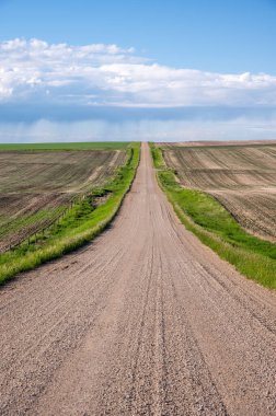 Lonley çayır yolu yaz yağmuru bulutlarıyla birlikte uzaklara gidiyor..