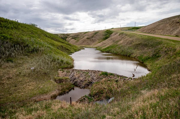 Alberta Nın Çorak Topraklarında Kunduz Barajı — Stok fotoğraf