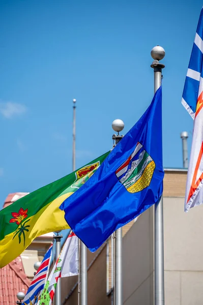 Kilka Flag Prowincji Machających Zajeździe Wiatrowym Calgary Alberta — Zdjęcie stockowe