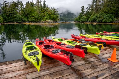 Sitka, Alaska - July 26, 2022 - View of Adventure Sitka's  kayaks at the Siginaka islands base.