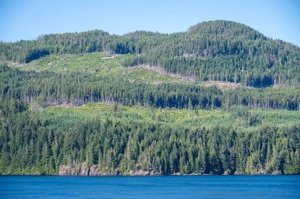 Logged Forests Vancouver Island — Fotografia de Stock