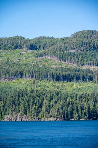 Logged Forests Vancouver Island — Fotografia de Stock