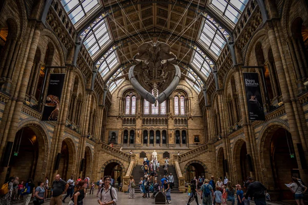 London August 2022 Interior Exhibits Natural History Museum London — Foto de Stock