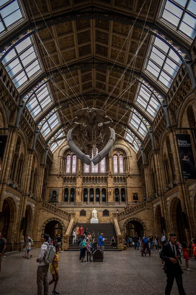 London August 2022 Interior Exhibits Natural History Museum London — Stock Photo, Image