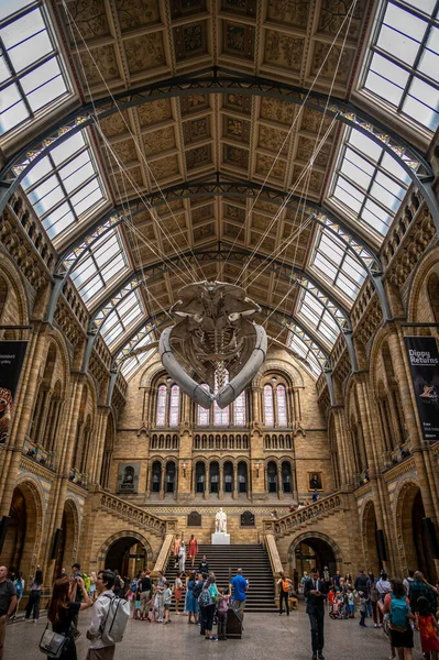 London August 2022 Interior Exhibits Natural History Museum London — Foto de Stock