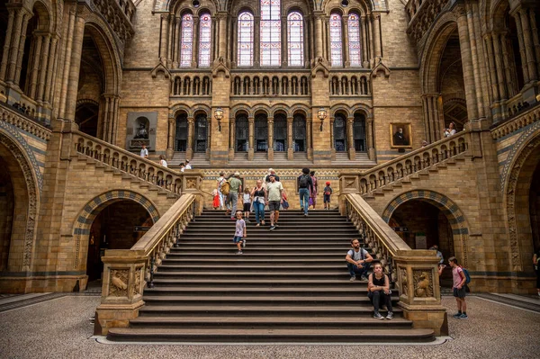 London August 2022 Interior Exhibits Natural History Museum London — Foto de Stock