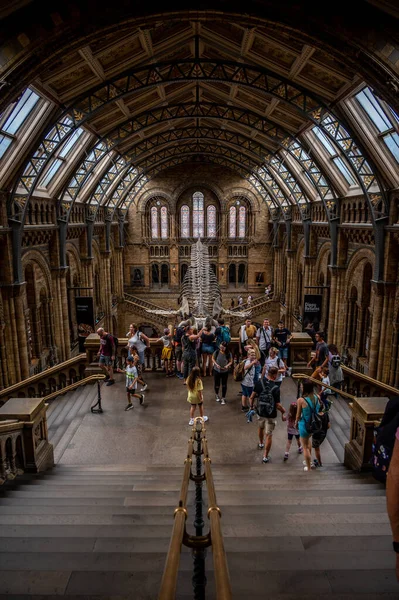 London August 2022 Interior Exhibits Natural History Museum London — Stok Foto