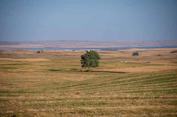 Harvested Farm Fields Rural Alberta — Stock Photo, Image