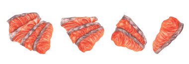 Suluboya el çizimi kırmızı balık filetosu, taze somon balığı sashimi. Beyaz arka planda izole edilmiş taze deniz ürünleri çizimi.