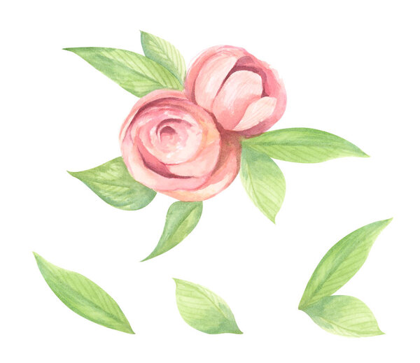 Набор цветочных веток. Свадебная концепция с цветами. Идеально подходит для поздравительных открыток, свадебного приглашения, дня рождения.