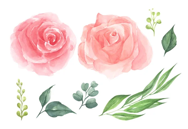 一丛玫瑰花 结婚的概念与花 这是完美的贺卡 婚宴邀请 水彩画 — 图库照片