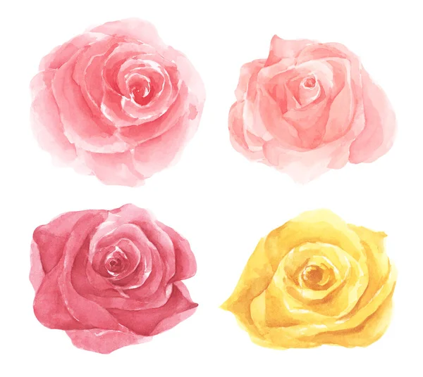 Zestaw Różanych Kwiatów Koncepcja Ślubna Kwiatami Idealny Kartki Okolicznościowe Zaproszenie — Zdjęcie stockowe