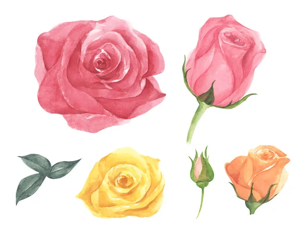 Rosenblütenset Vorhanden Hochzeitskonzept Mit Blumen Ist Perfekt Für Grußkarten Hochzeitseinladungen — Stockfoto