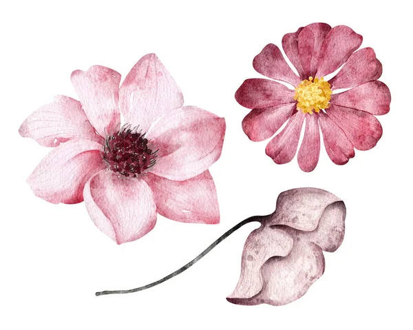 Suluboya Çiçek Seti Beyaz Arka Planda Izole Edilmiş Tebrik Kartları — Stok fotoğraf