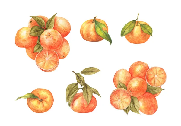 Набір Свіжого Апельсина Ізольовано Білому Тлі Акварельна Ілюстрація — стокове фото