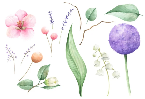 花のセット 白い背景に隔離されている 水彩画 — ストック写真