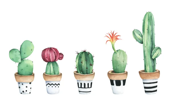 Zestaw Kaktusów Doniczkowych Odizolowany Białym Tle Ilustracja Akwarela — Zdjęcie stockowe