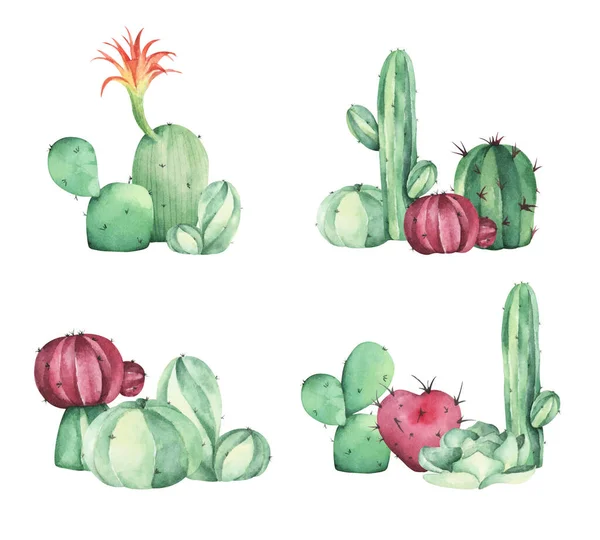 Watercolor Painting Cacti Succulent Plants Isolated White Background — Photo