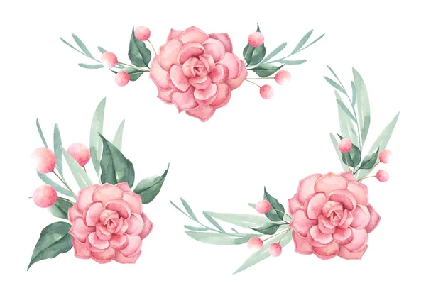 Floral Bunches Succulent Bouquets Watercolor Illustration Isolated White Background Romantic — Zdjęcie stockowe