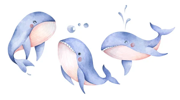 Set of Cute blue whale. Isolated on white background. Underwater animal art. Watercolor illustration.