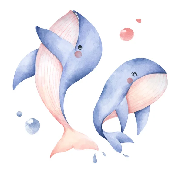 Set Cute Blue Whale Isolated White Background Underwater Animal Art — Stok fotoğraf