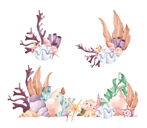 Hand Painted Watercolor Composition Seaweed Corals Shells Isolated White Background — Stok fotoğraf