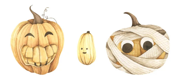 Set Pumpkins Halloween Isolated White Background Watercolor Illustration — Foto de Stock