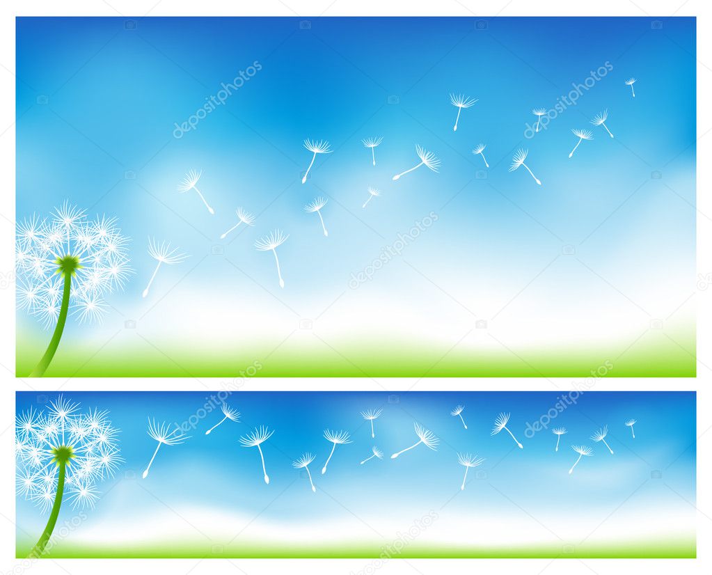 Dandelion banners.