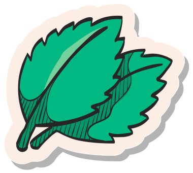 Yapıştırma biçimi illüstrasyonunda el çizimi Basil yaprakları simgesi