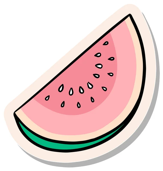Hand Drawn Fruit Slice Watermelon Melon Sticker Style Vector Illustration — Stock Vector